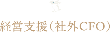 経営支援（社外CFO）